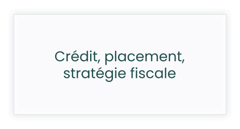 Crédit, placement, stratégie fiscale