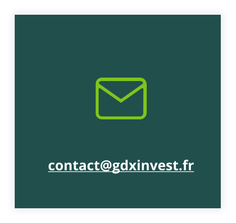 contact@gdxinvest.fr