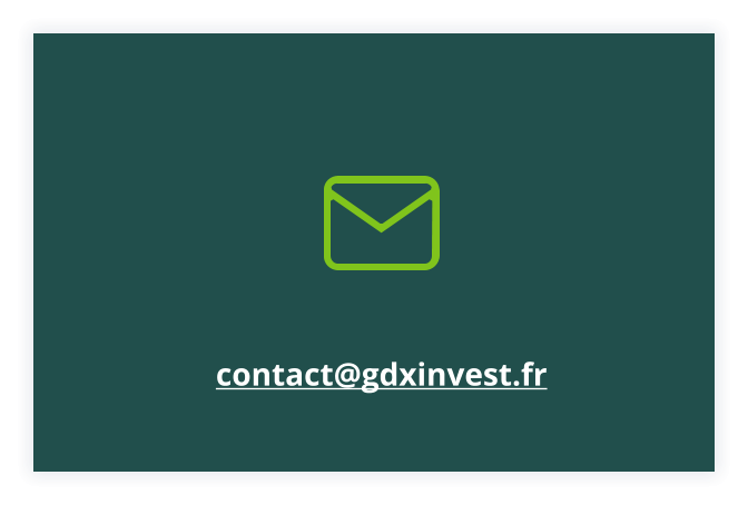 contact@gdxinvest.fr